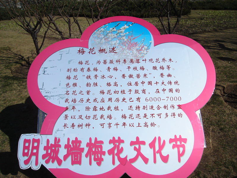 DSC07636_缩小大小.JPG