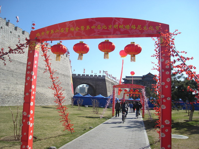 DSC07637_缩小大小.JPG
