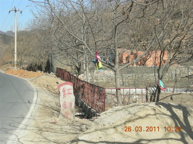 110326  银山塔林骑行 016.jpg