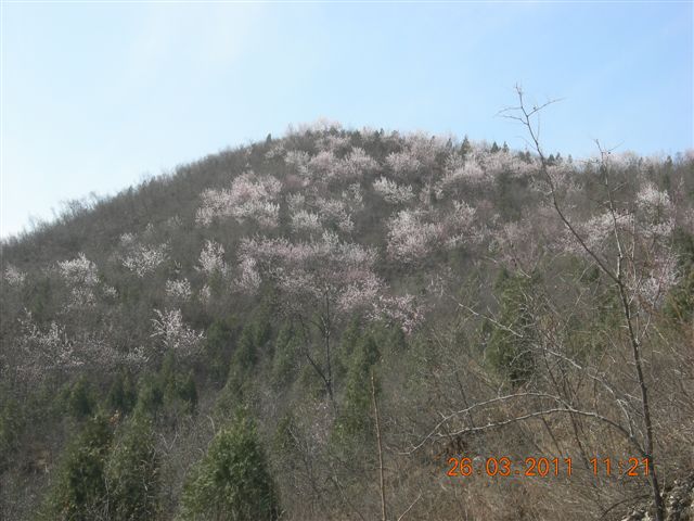 110326  银山塔林骑行 032.jpg