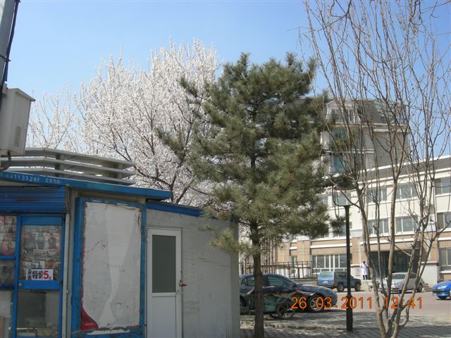 110326  银山塔林骑行 038.jpg