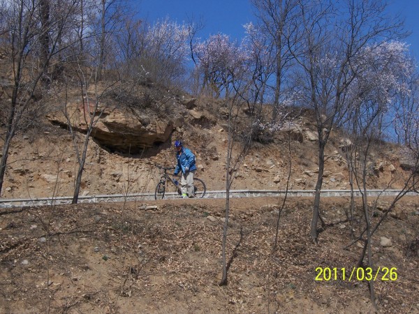 conew_照片 021.jpg