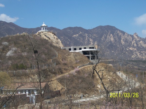 conew_照片 034.jpg