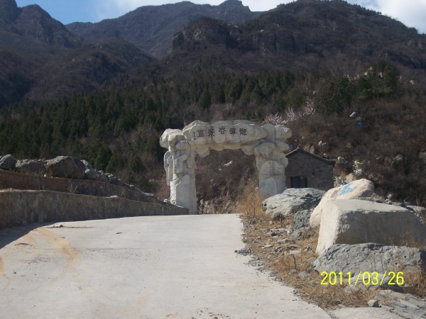 conew_照片 035.jpg