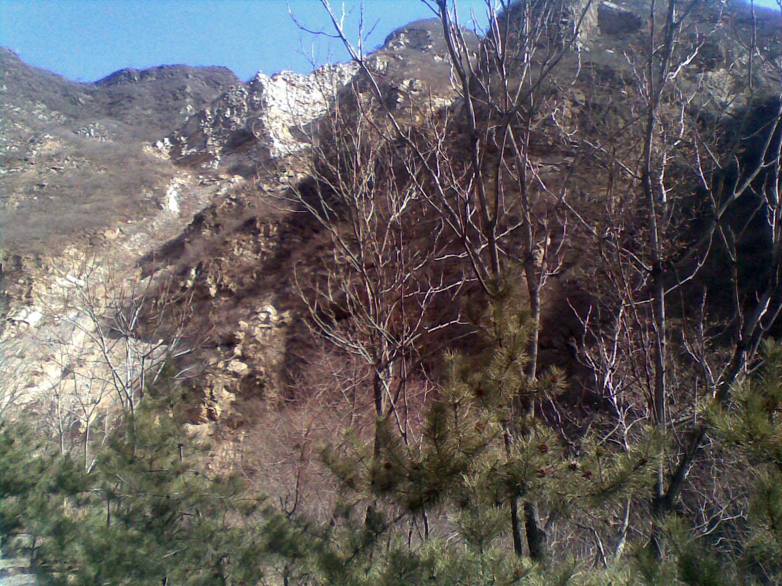 20110327_003.jpg