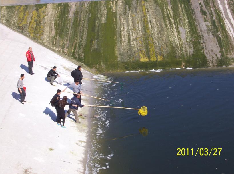 11坝下抄鱼.jpg