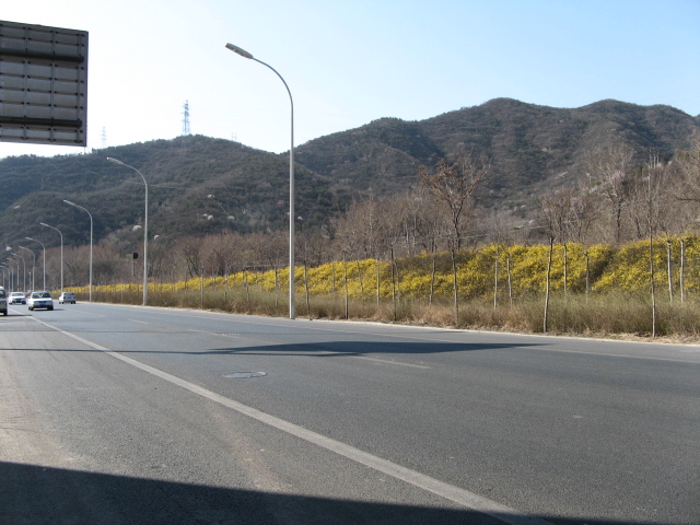 春游禅房 002.jpg