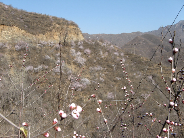 春游禅房 005.jpg