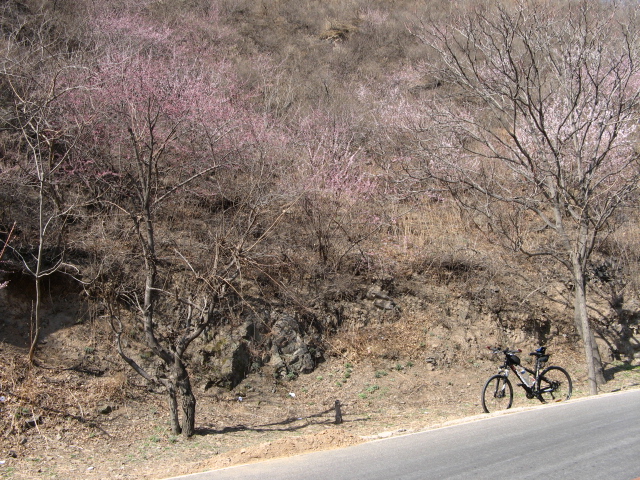 春游禅房 006.jpg