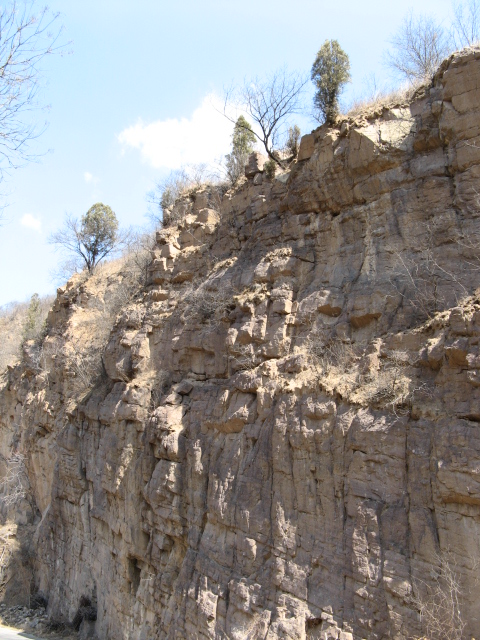 春游禅房 014.jpg