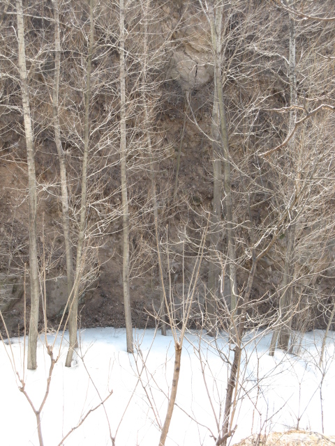 春游禅房 020.jpg