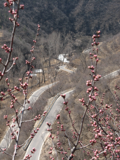 春游禅房 021.jpg