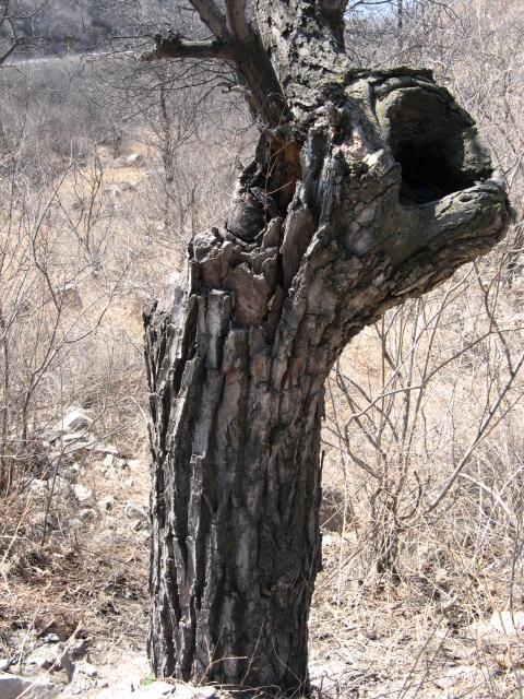 春游禅房 023.jpg