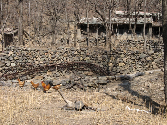 春游禅房 033.jpg