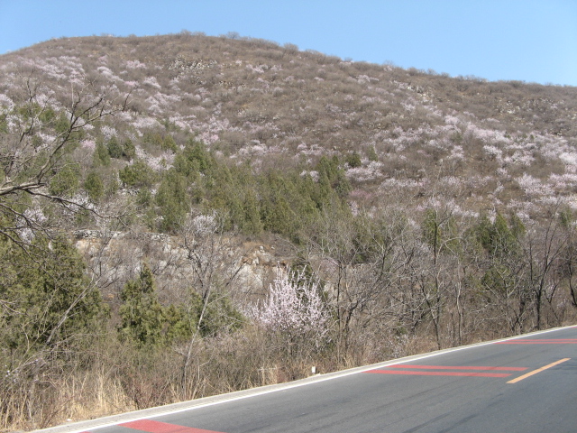 春游禅房 045.jpg