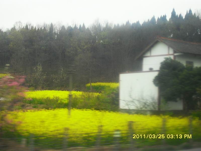 调整大小 SDC14111.JPG