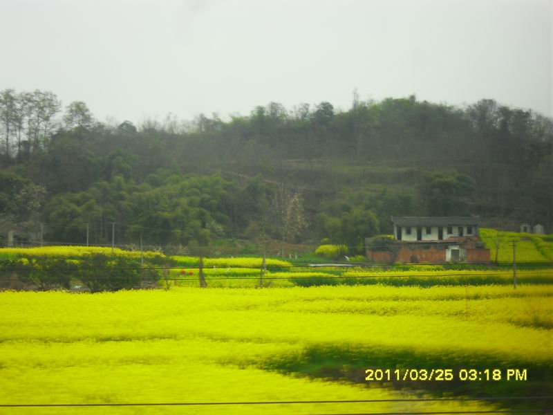 调整大小 SDC14136.JPG