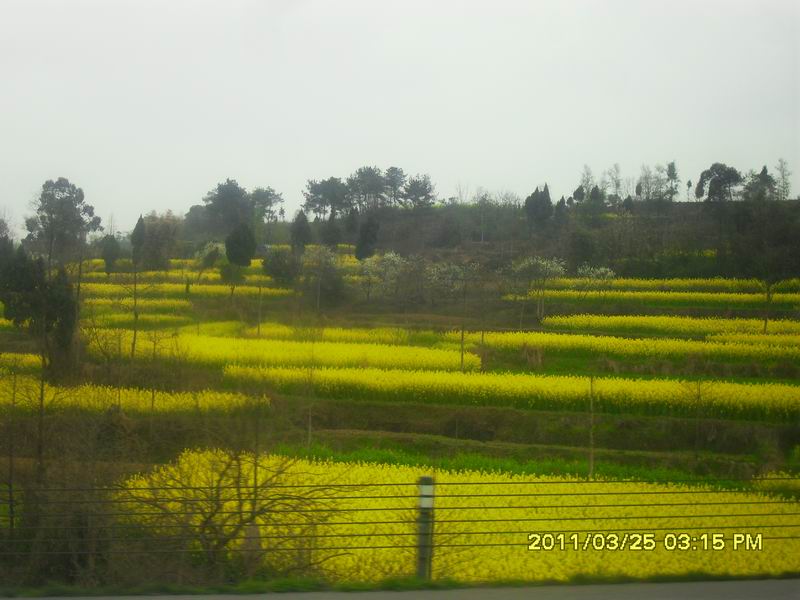 调整大小 SDC14125.JPG