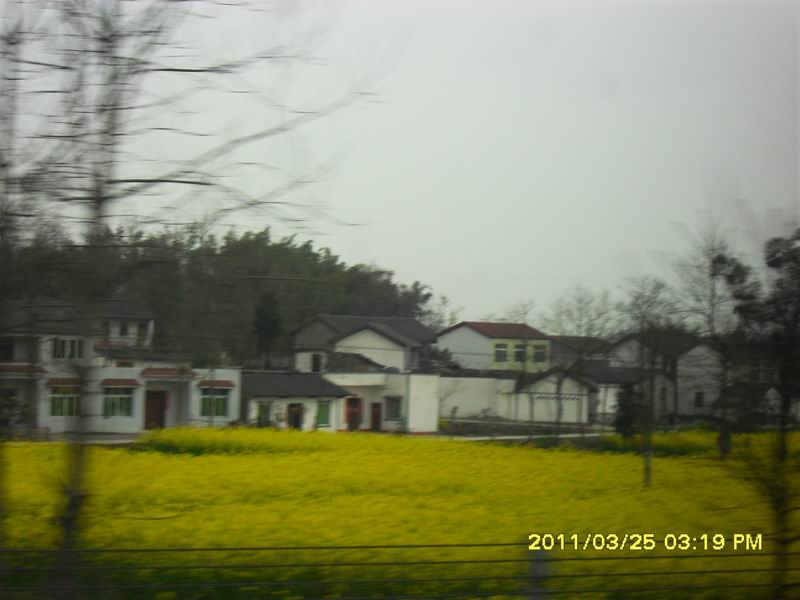 调整大小 SDC14144.JPG