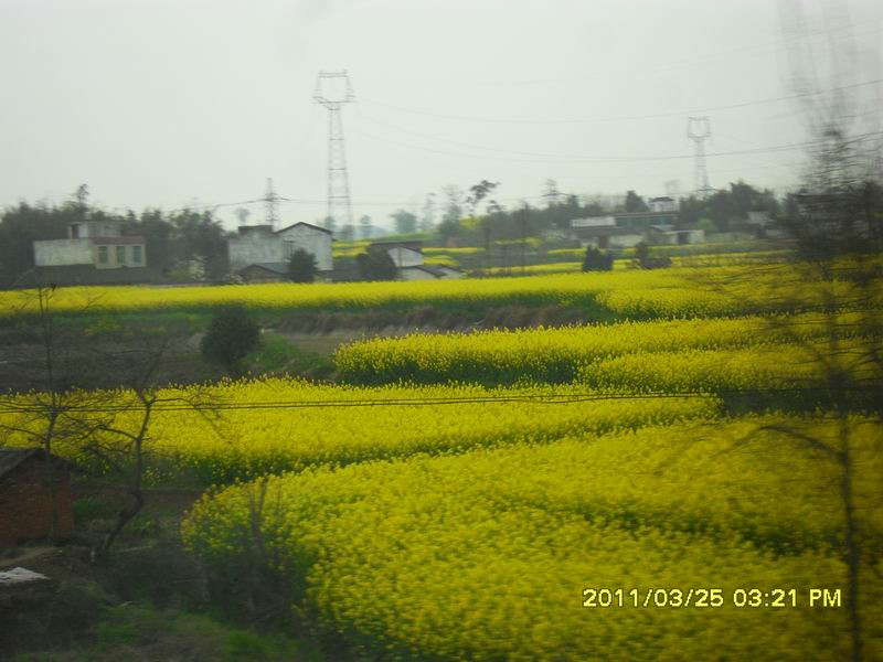 调整大小 SDC14152.JPG