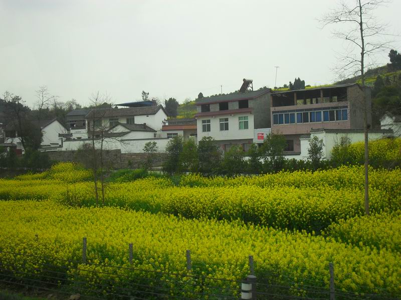 调整大小 SDC14163.JPG