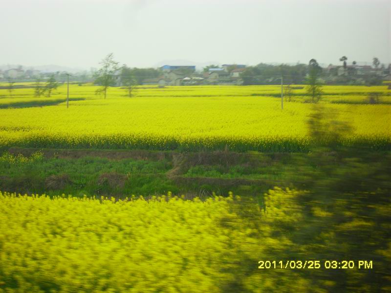 调整大小 SDC14149.JPG