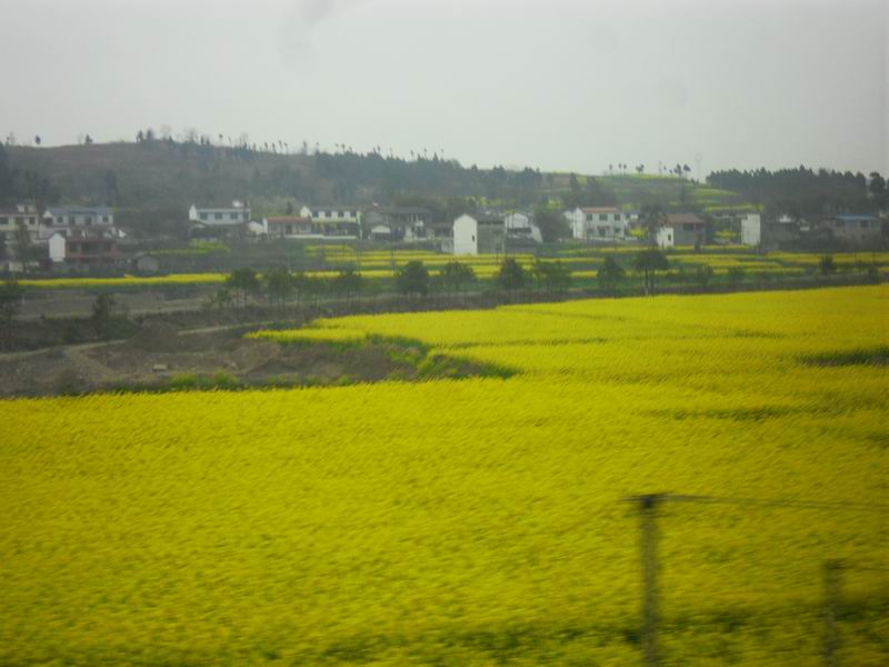 调整大小 SDC14159.JPG