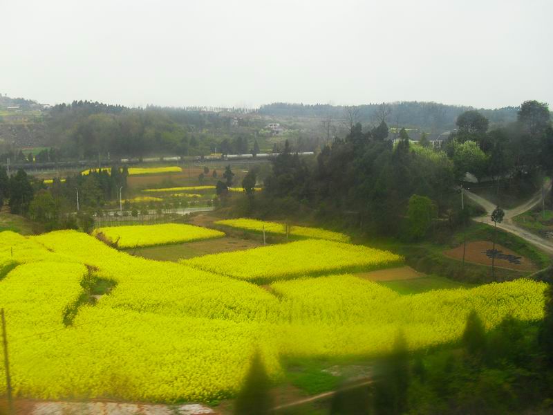 调整大小 SDC14169.JPG