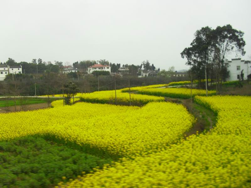 调整大小 SDC14175.JPG