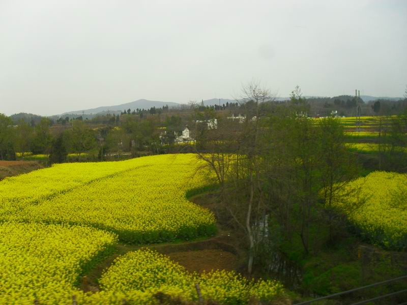 调整大小 SDC14186.JPG