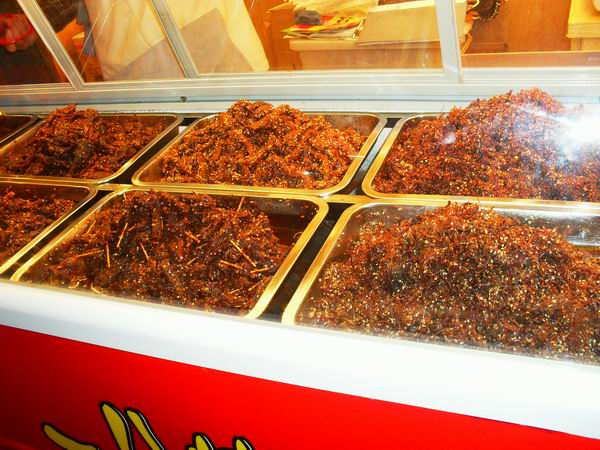 调整大小 SDC14261.JPG