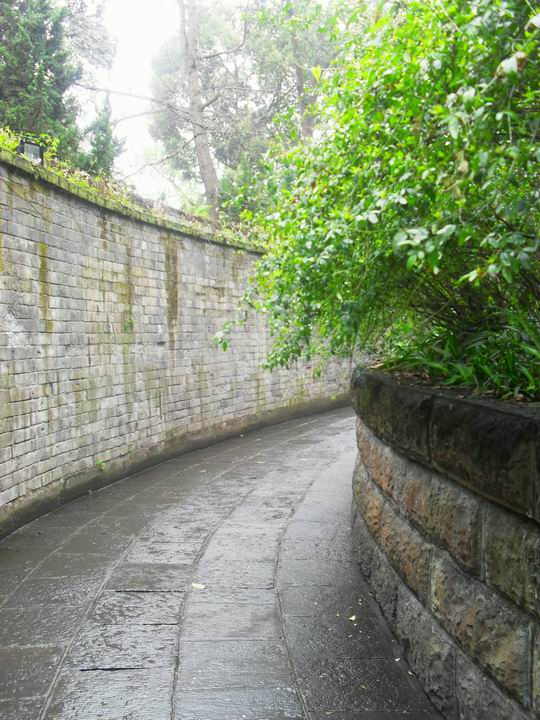 调整大小 SDC14551.JPG