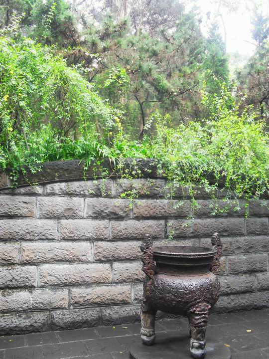 调整大小 SDC14553.JPG