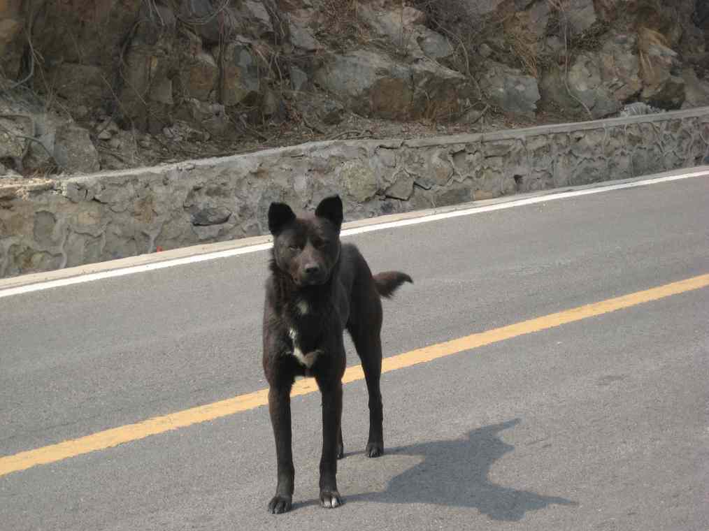 大村放了两分钟了