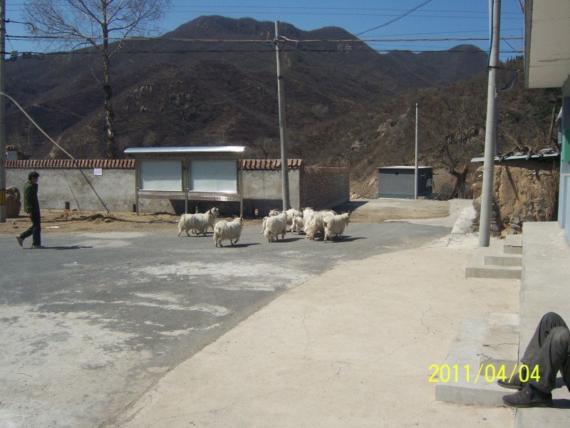 conew_照片 021.jpg