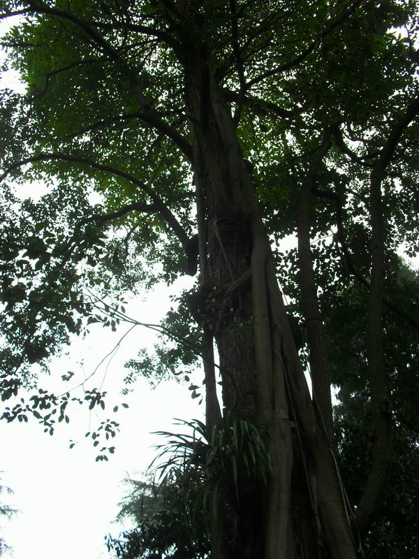 调整大小 旋转 SDC14331.JPG