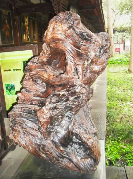 旋转 调整大小 SDC14372.JPG