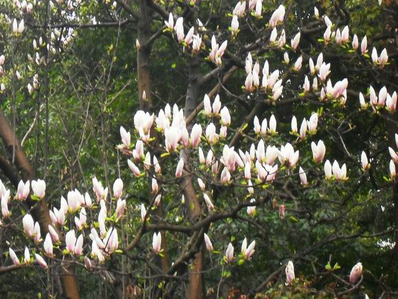 调整大小 SDC14377.JPG