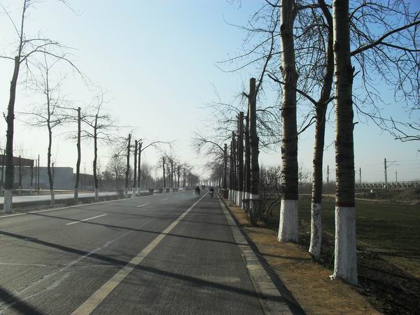 调整大小 SDC12772.JPG