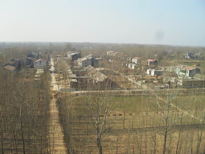 调整大小 SDC12943.JPG