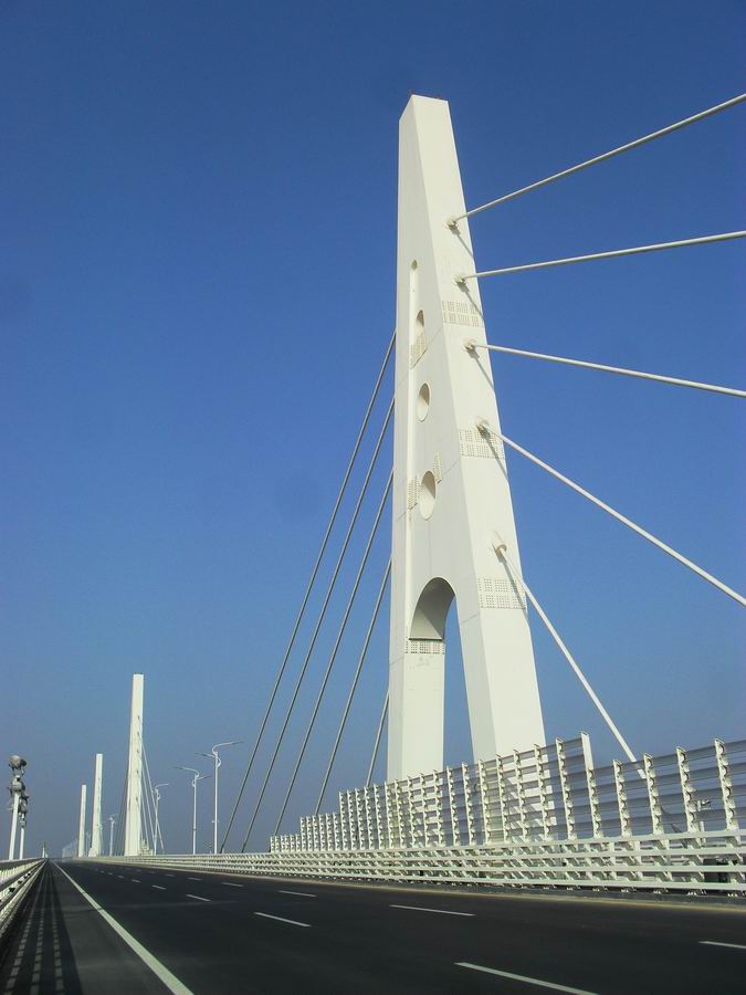 调整大小 旋转 SDC13007.JPG