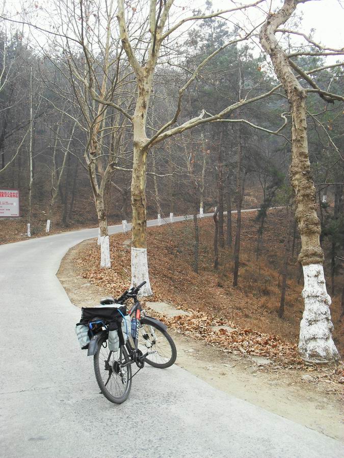 调整大小 SDC13159.JPG