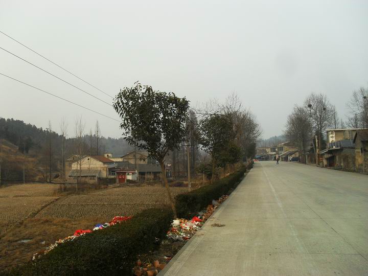 调整大小 SDC13280.JPG