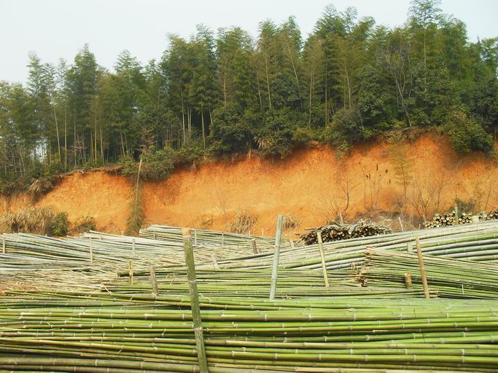 调整大小 SDC13394.JPG