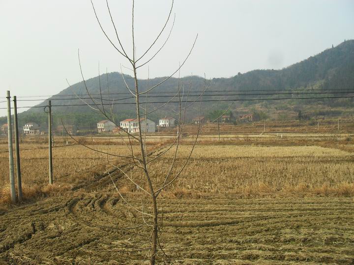 调整大小 SDC13414.JPG