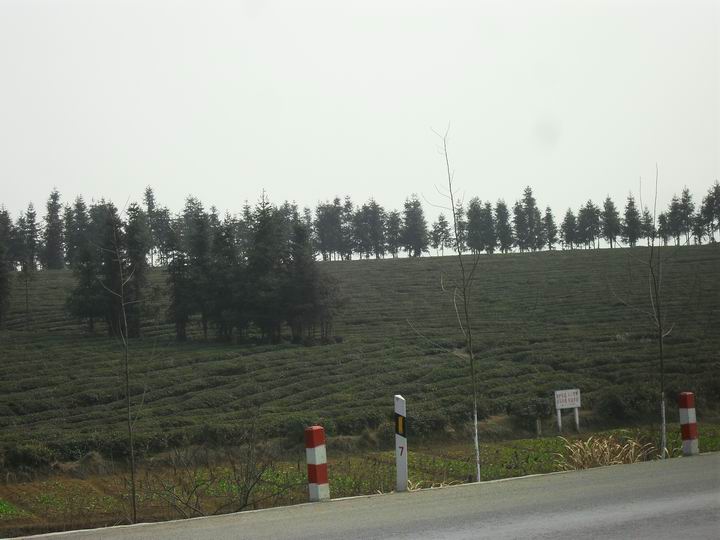 调整大小 SDC13408.JPG