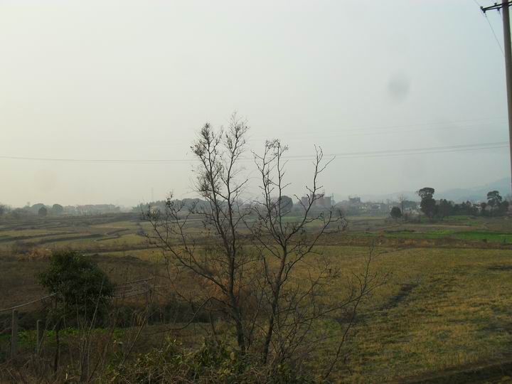 调整大小 SDC13448.JPG