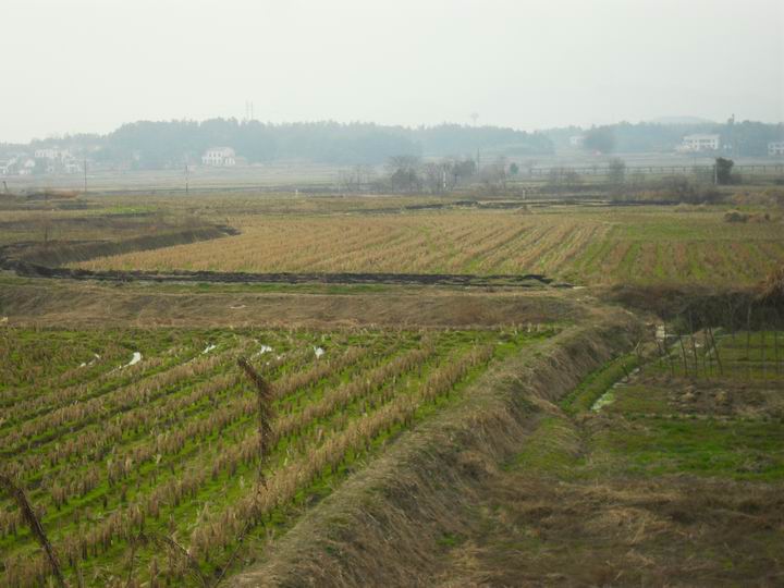 调整大小 SDC13467.JPG