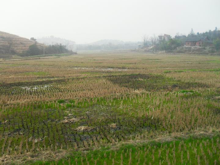 调整大小 SDC13629.JPG