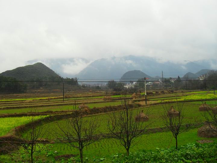 调整大小 SDC13668.JPG